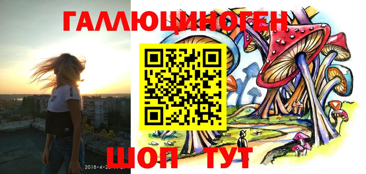 Щёлково  Псилоцибиновые грибы Psilocybine cubensis  Вход с VPN  Псилоцибиновые грибы GOLDEN TEACHER 
